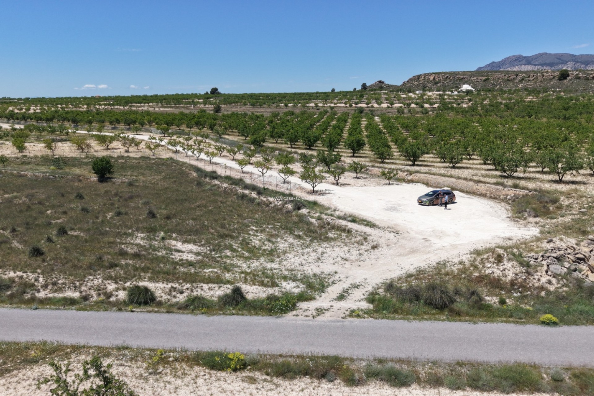 Herverkoop - Land - Pinoso - Inland