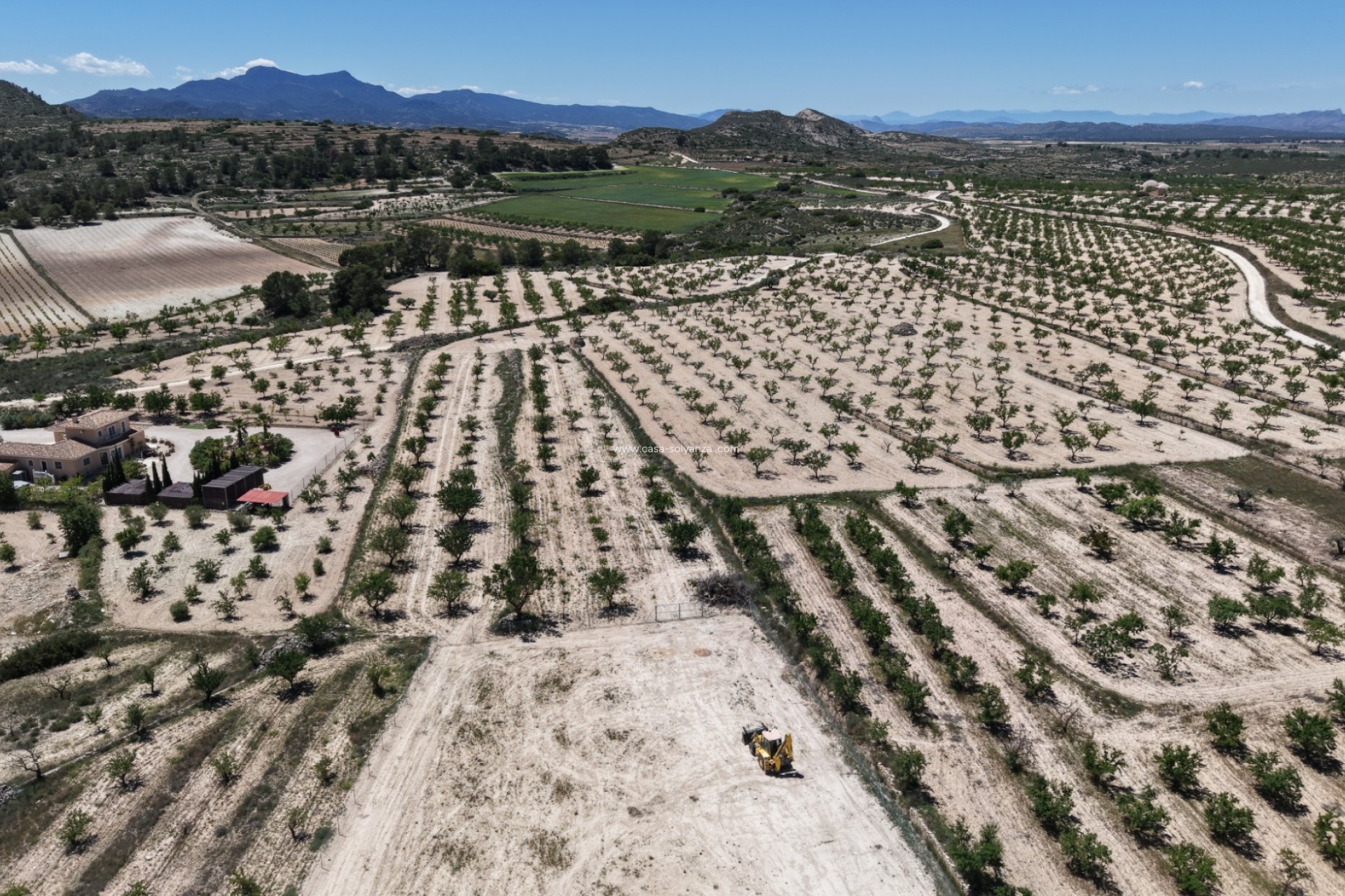Herverkoop - Land - Pinoso - Inland