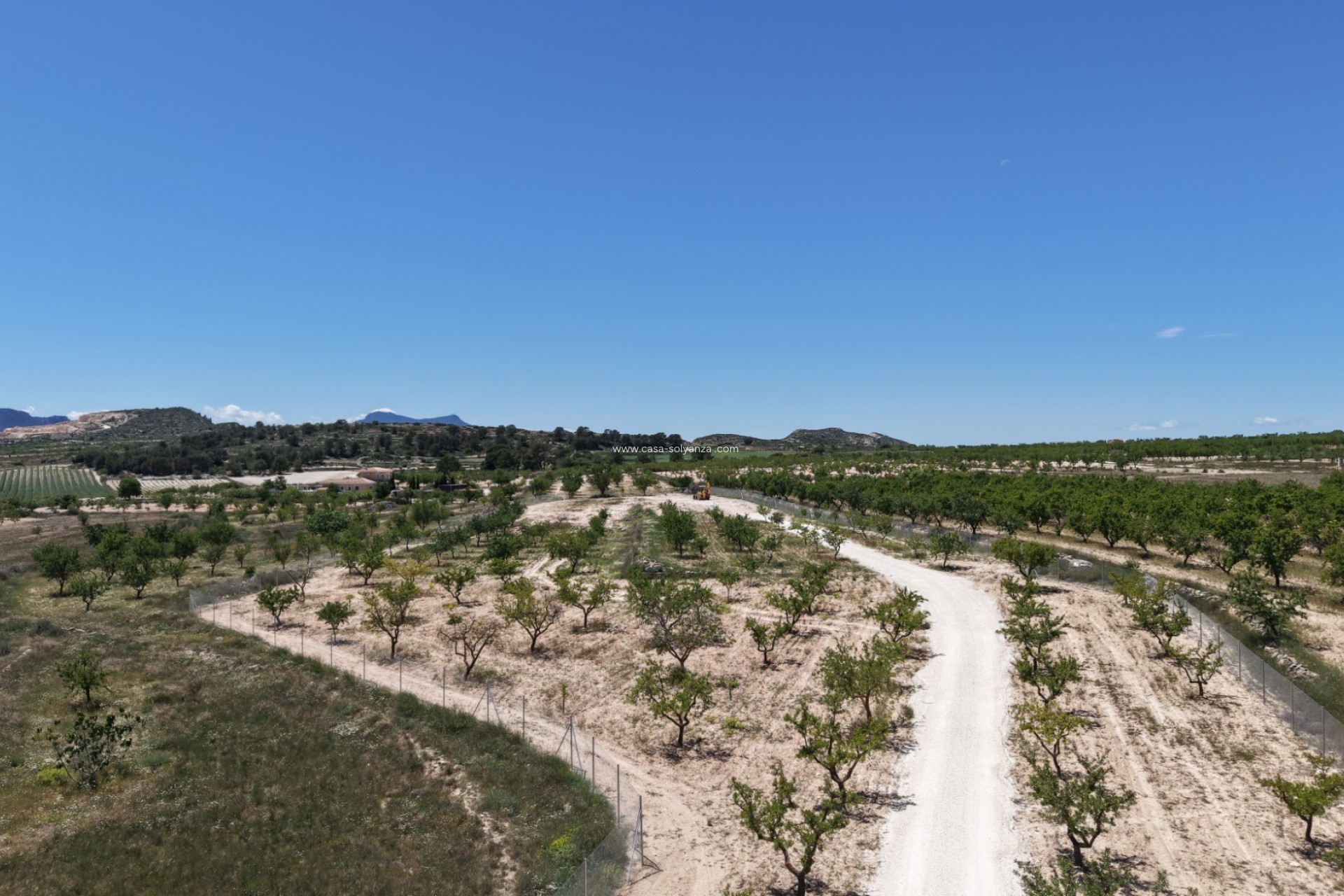 Herverkoop - Land - Pinoso - Inland