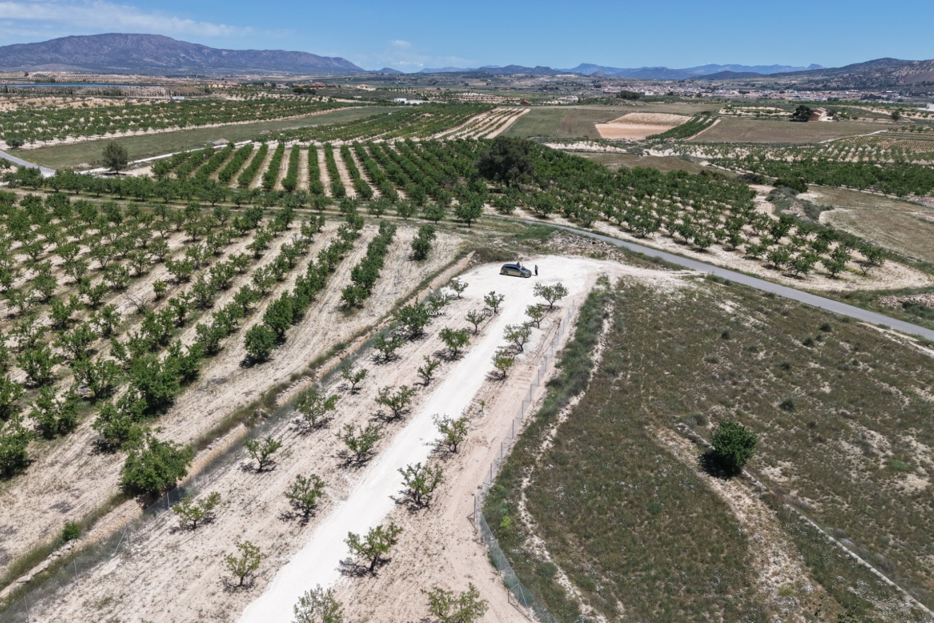 Herverkoop - Land - Pinoso - Inland