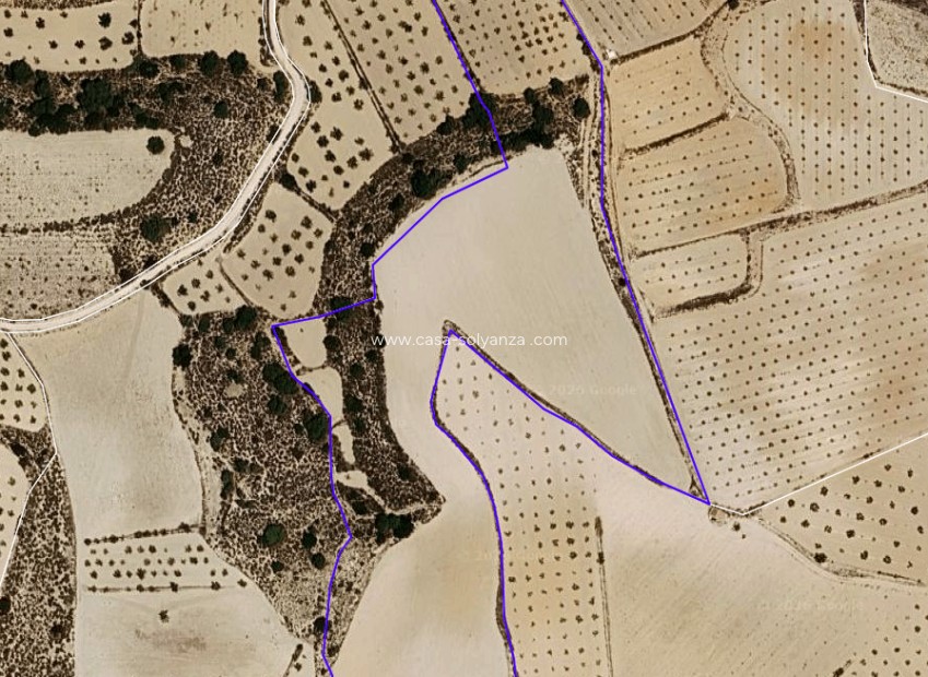 Herverkoop - Land - Pinoso - Inland