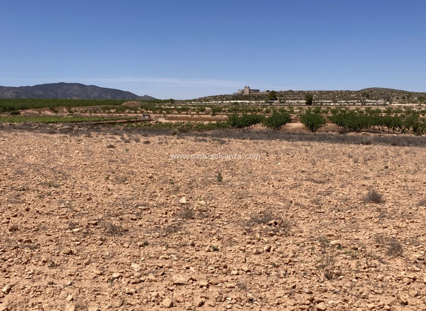 Herverkoop - Land - Pinoso - Lel