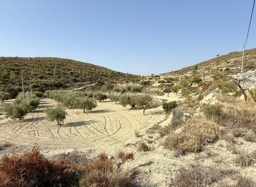 Herverkoop - Land - Relleu - Costa Blanca