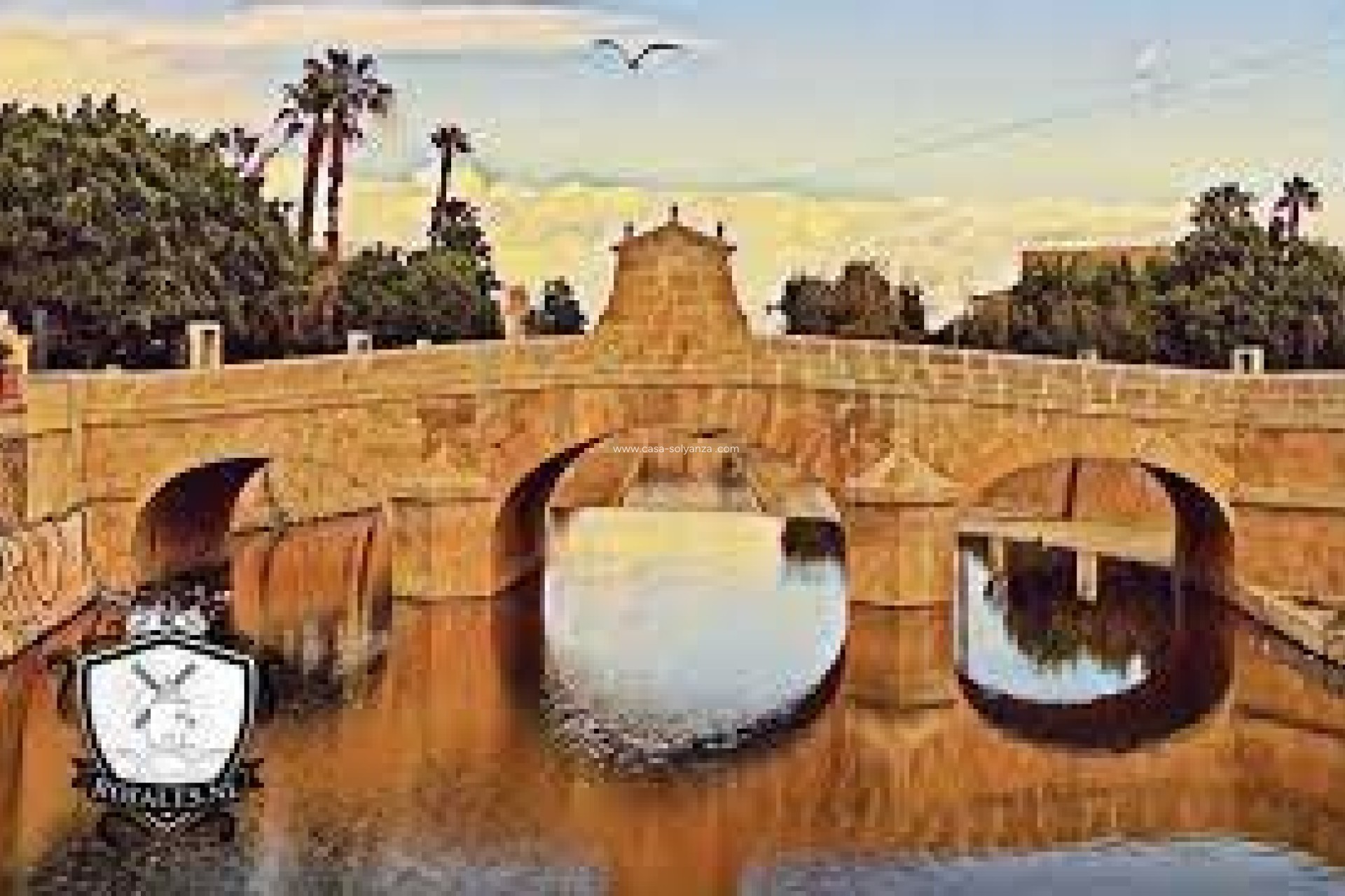 Herverkoop - Land - Rojales - Center