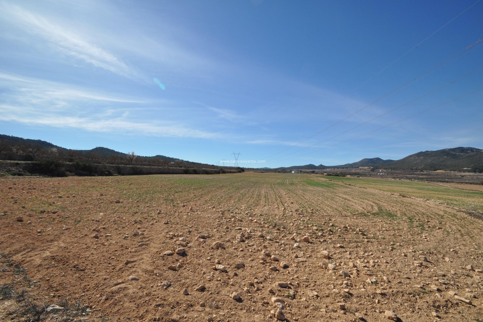 Herverkoop - Land - Salinas - Inland
