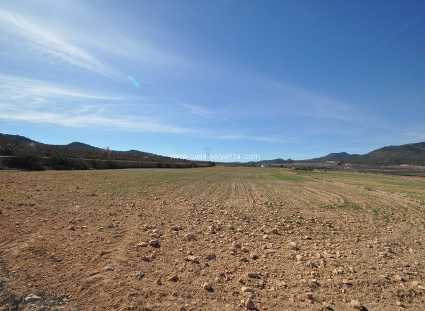 Herverkoop - Land - Salinas - Inland