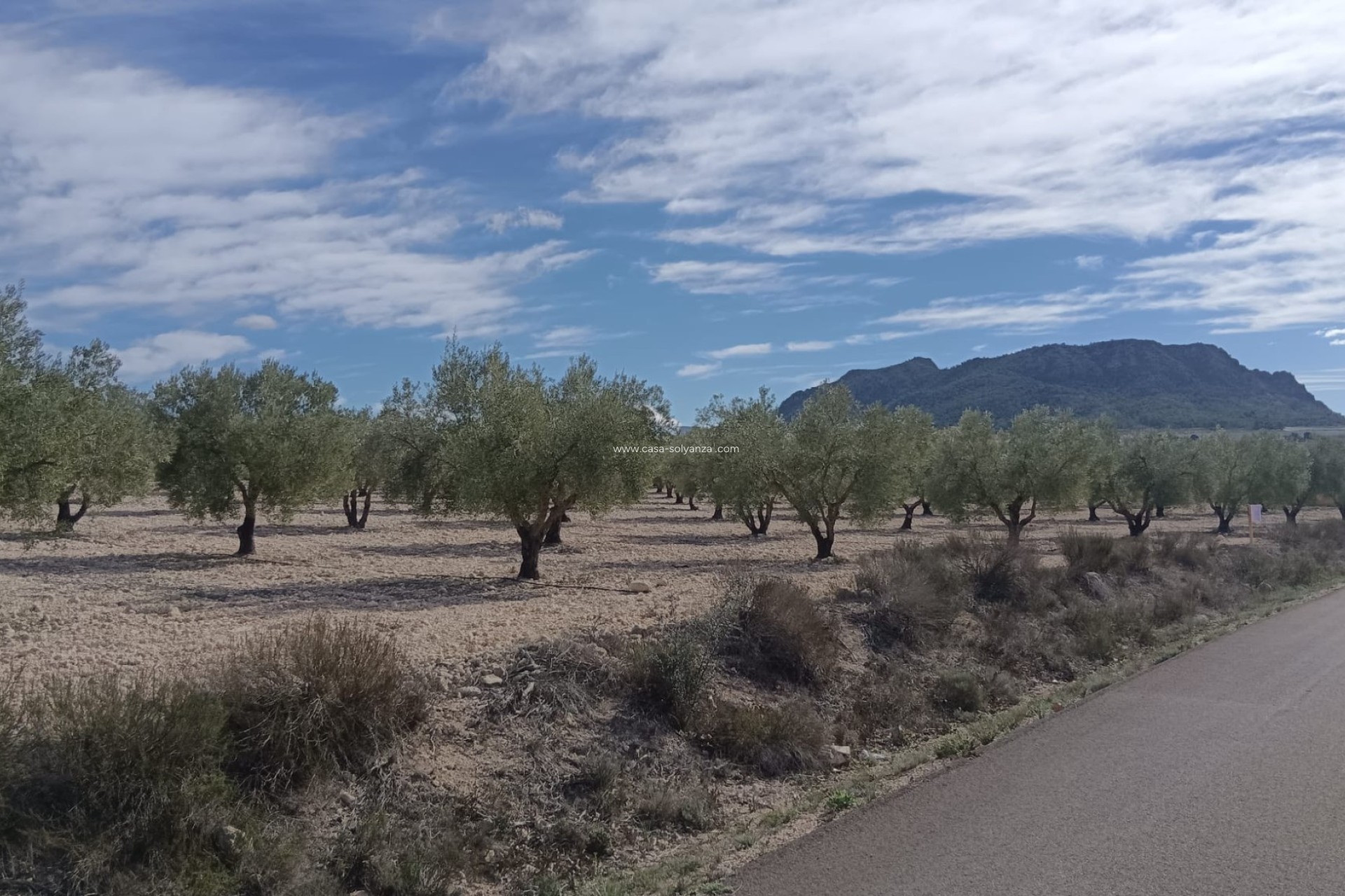 Herverkoop - Land - Salinas - Inland