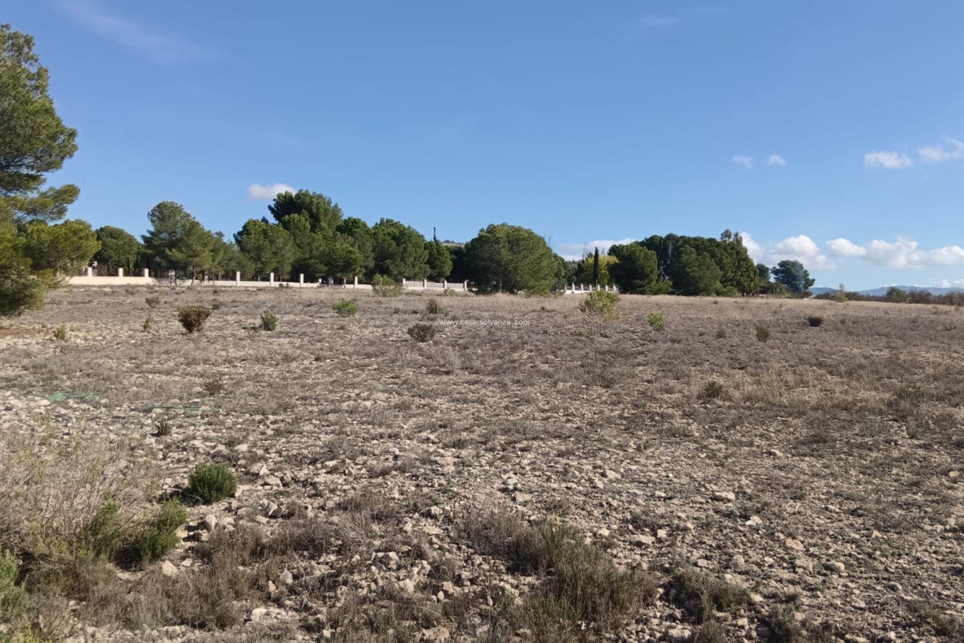 Herverkoop - Land - Salinas - Inland