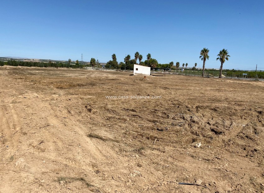 Herverkoop - Land - San Miguel de Salinas - San Miguel Salinas