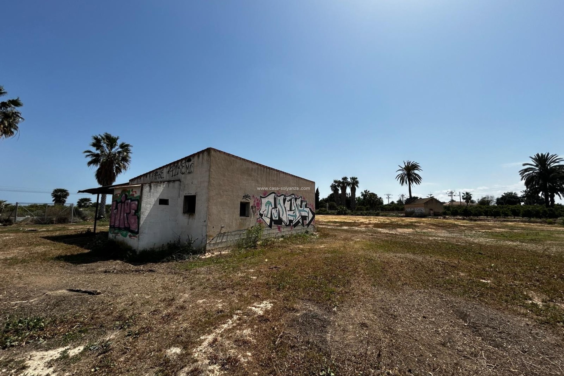 Herverkoop - Land - San Miguel de Salinas - San Miguel Salinas