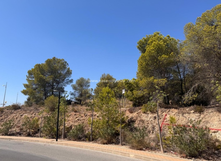 Herverkoop - Land - Sierra Cortina - Inland