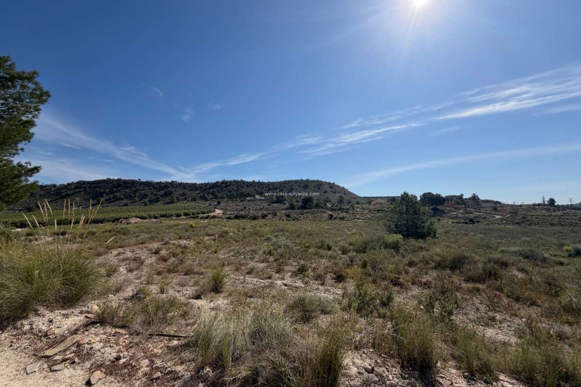 Herverkoop - Land - Torremendo - Costa Blanca