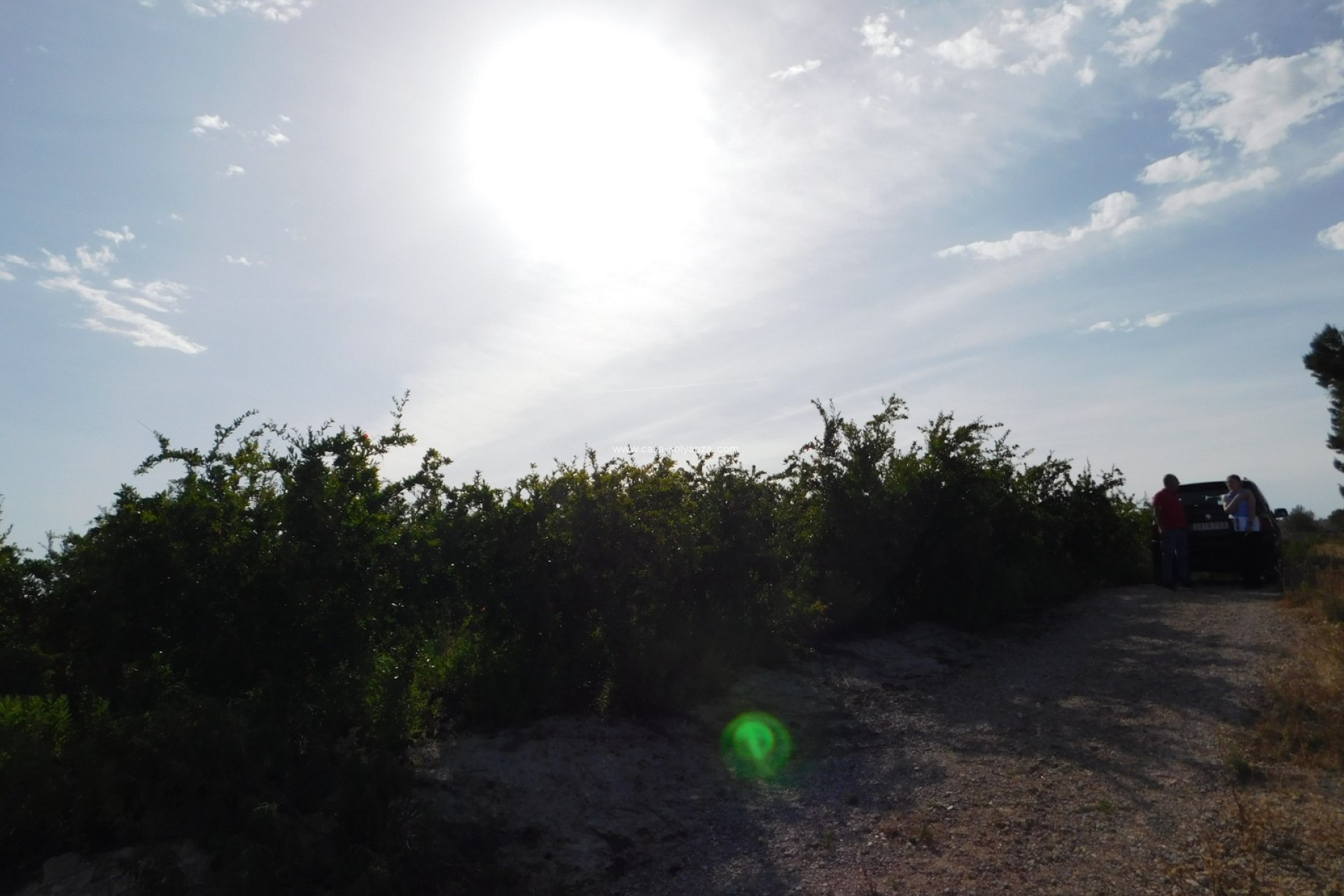 Herverkoop - Land - Torremendo