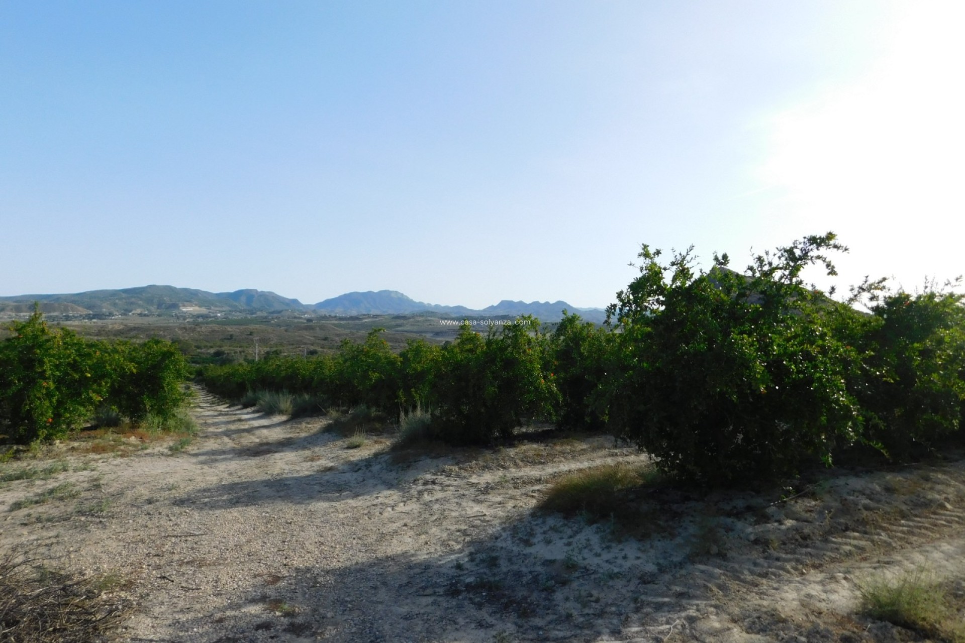 Herverkoop - Land - Torremendo