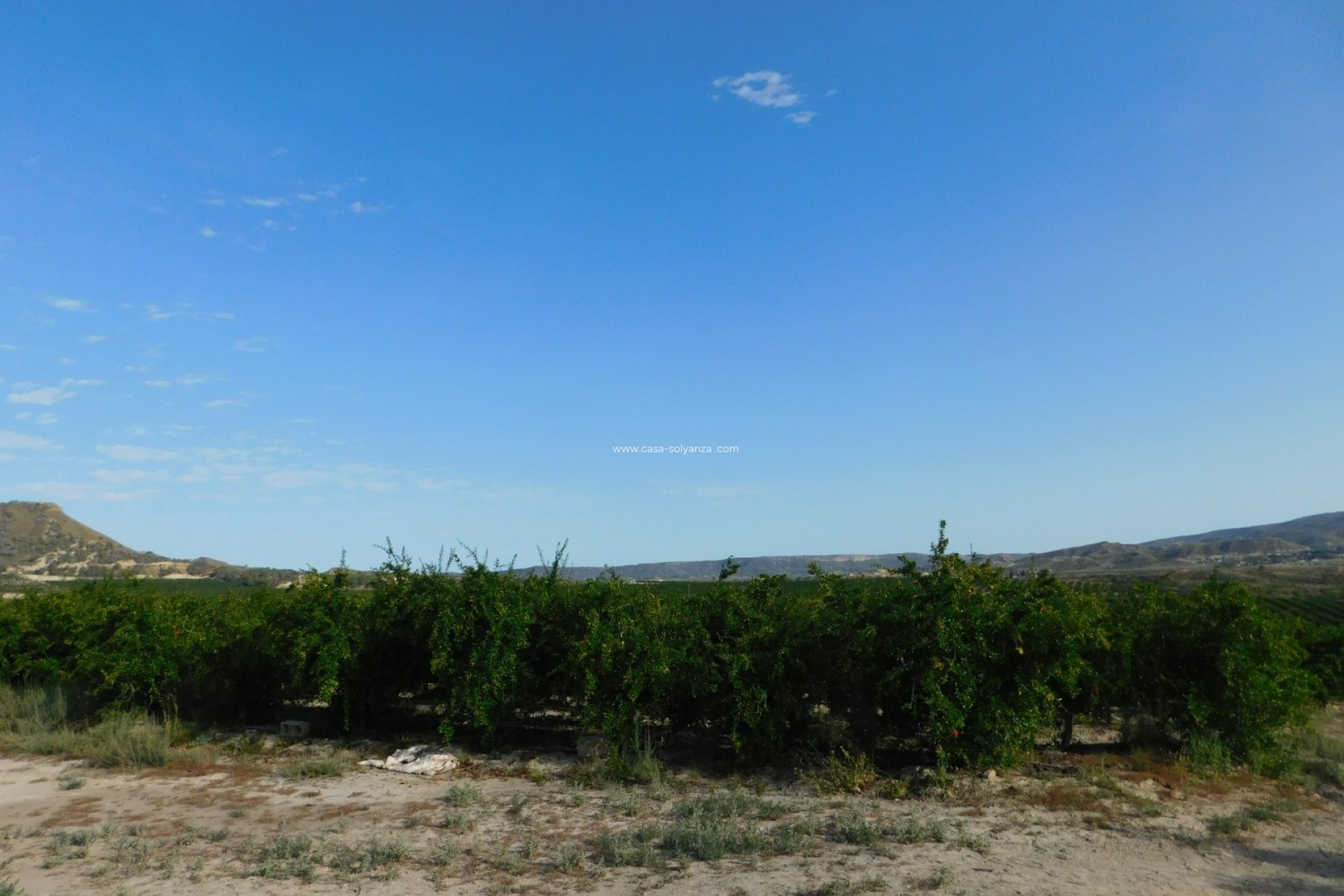 Herverkoop - Land - Torremendo