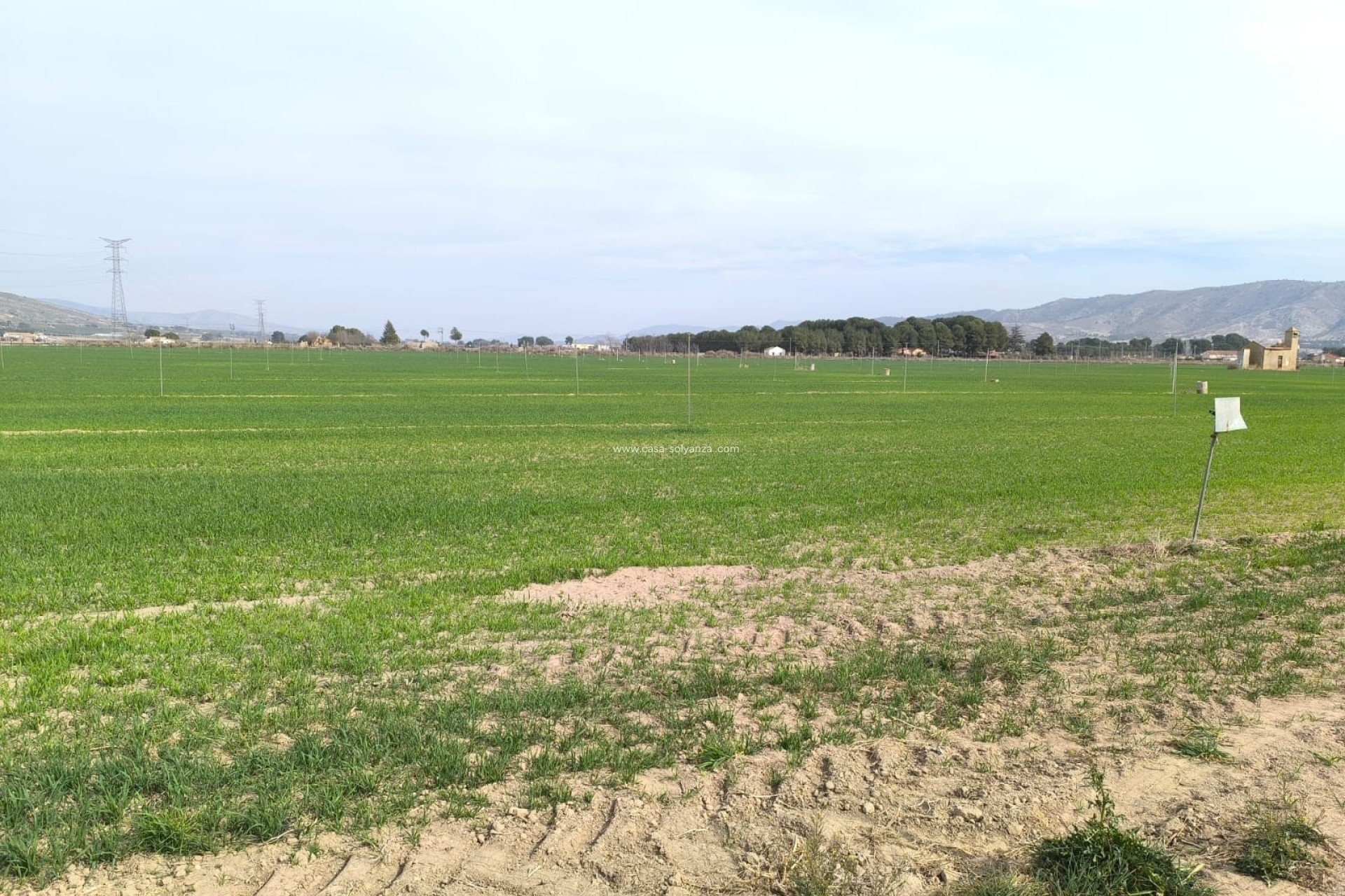 Herverkoop - Land - Villena - Inland