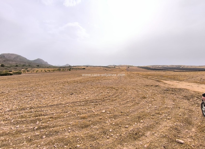 Herverkoop - Land - Yecla - Inland