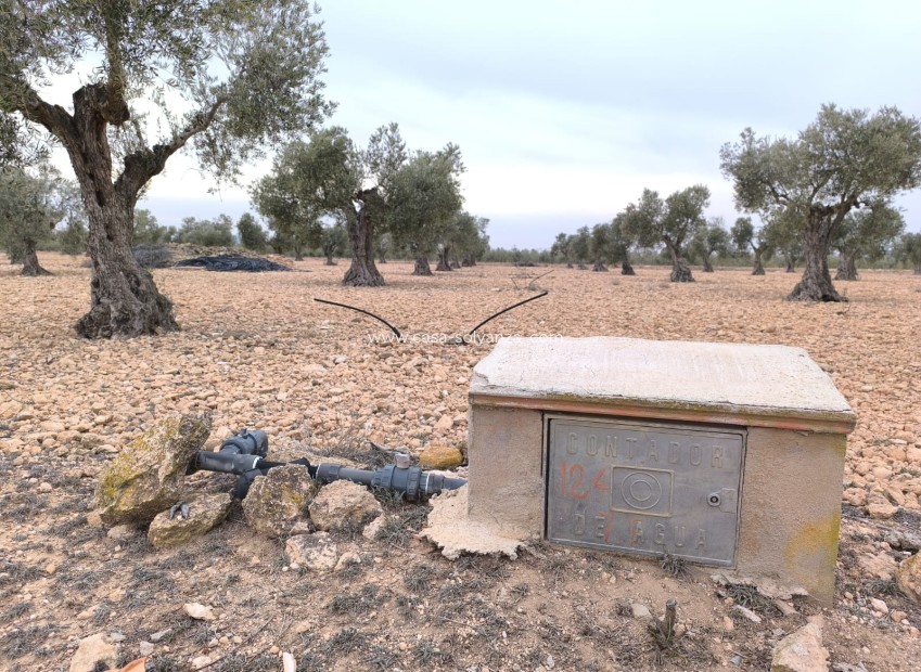 Herverkoop - Land - Yecla - Inland