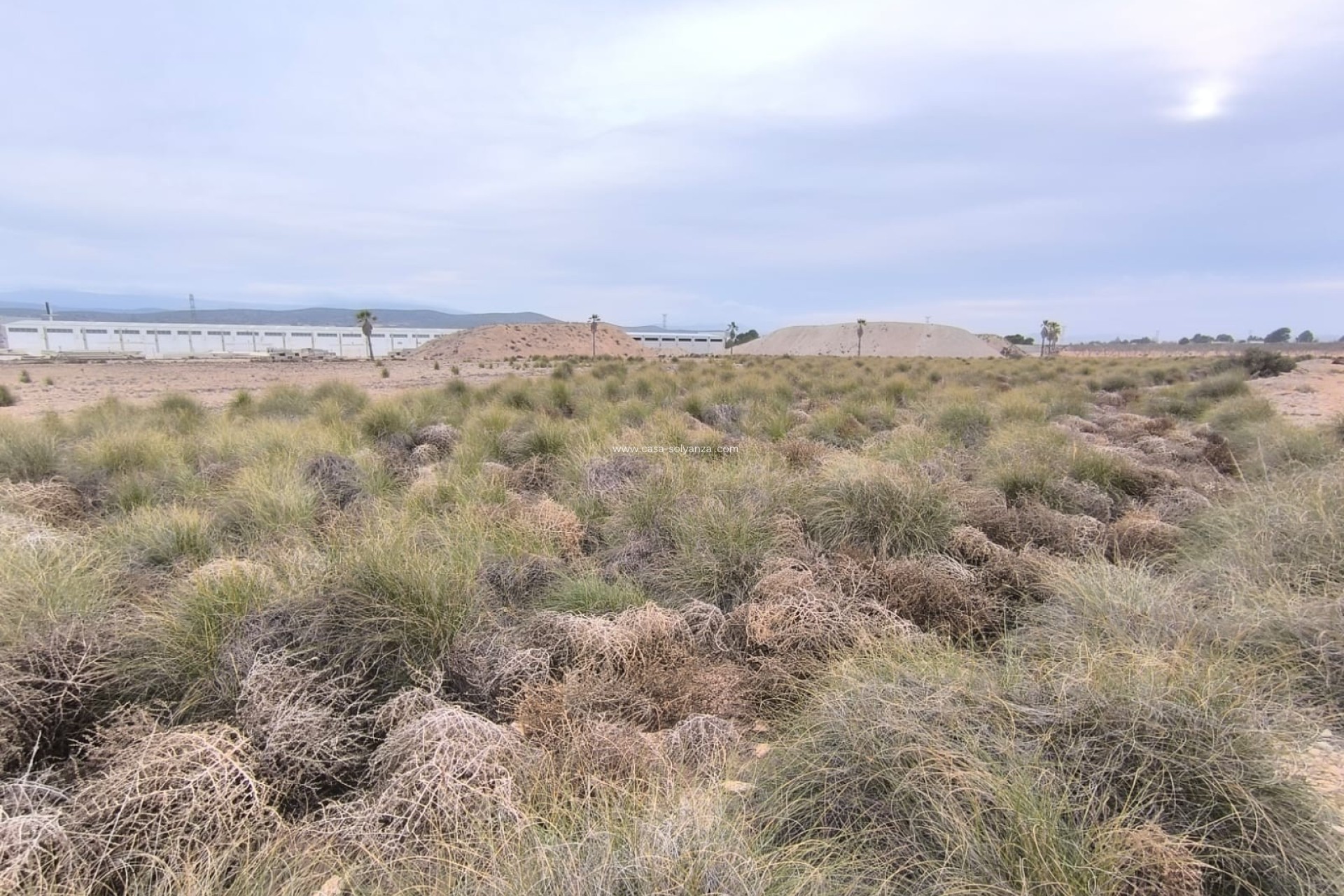 Herverkoop - Land - Yecla - Inland