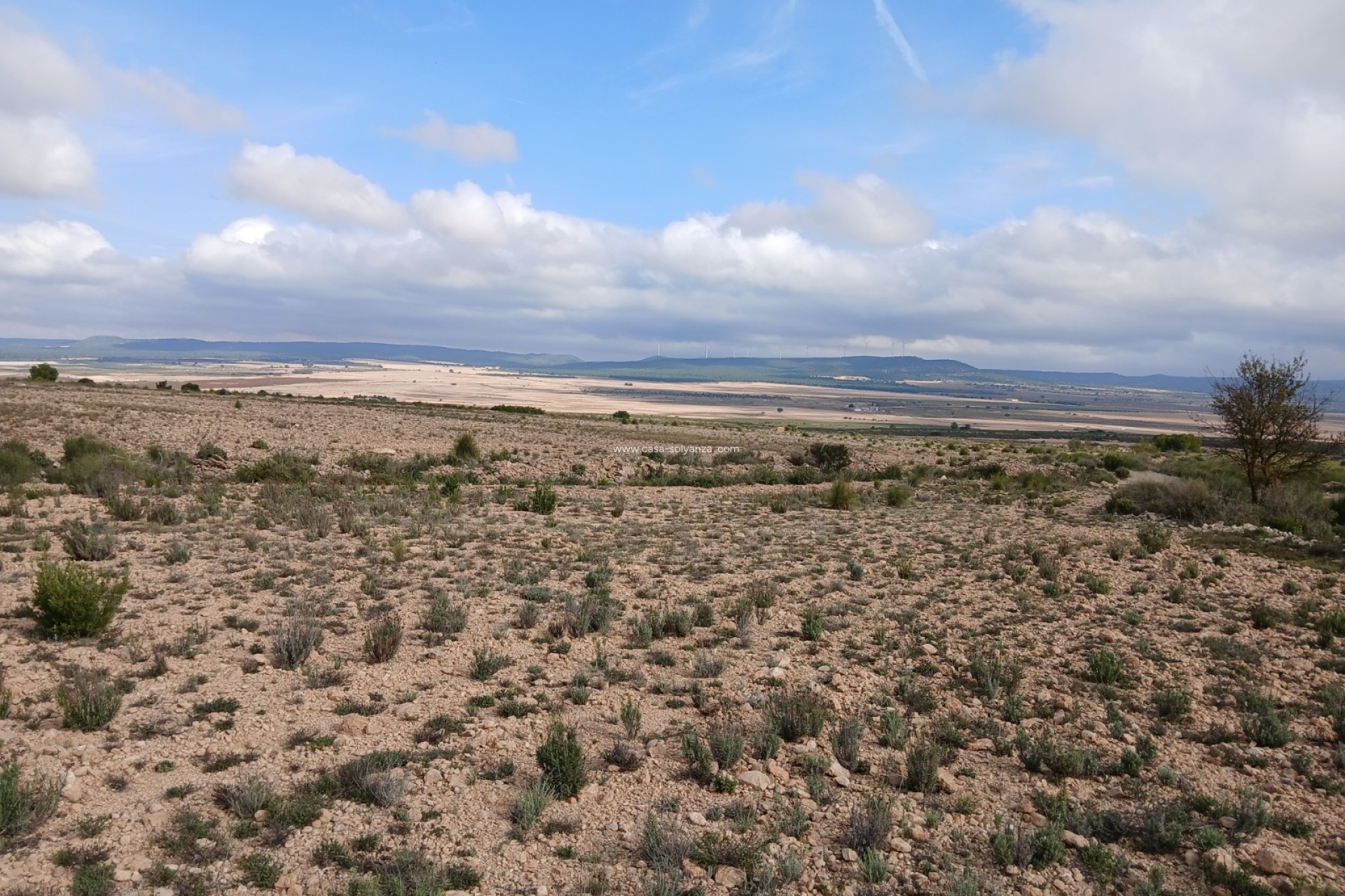 Herverkoop - Land - Yecla - Inland