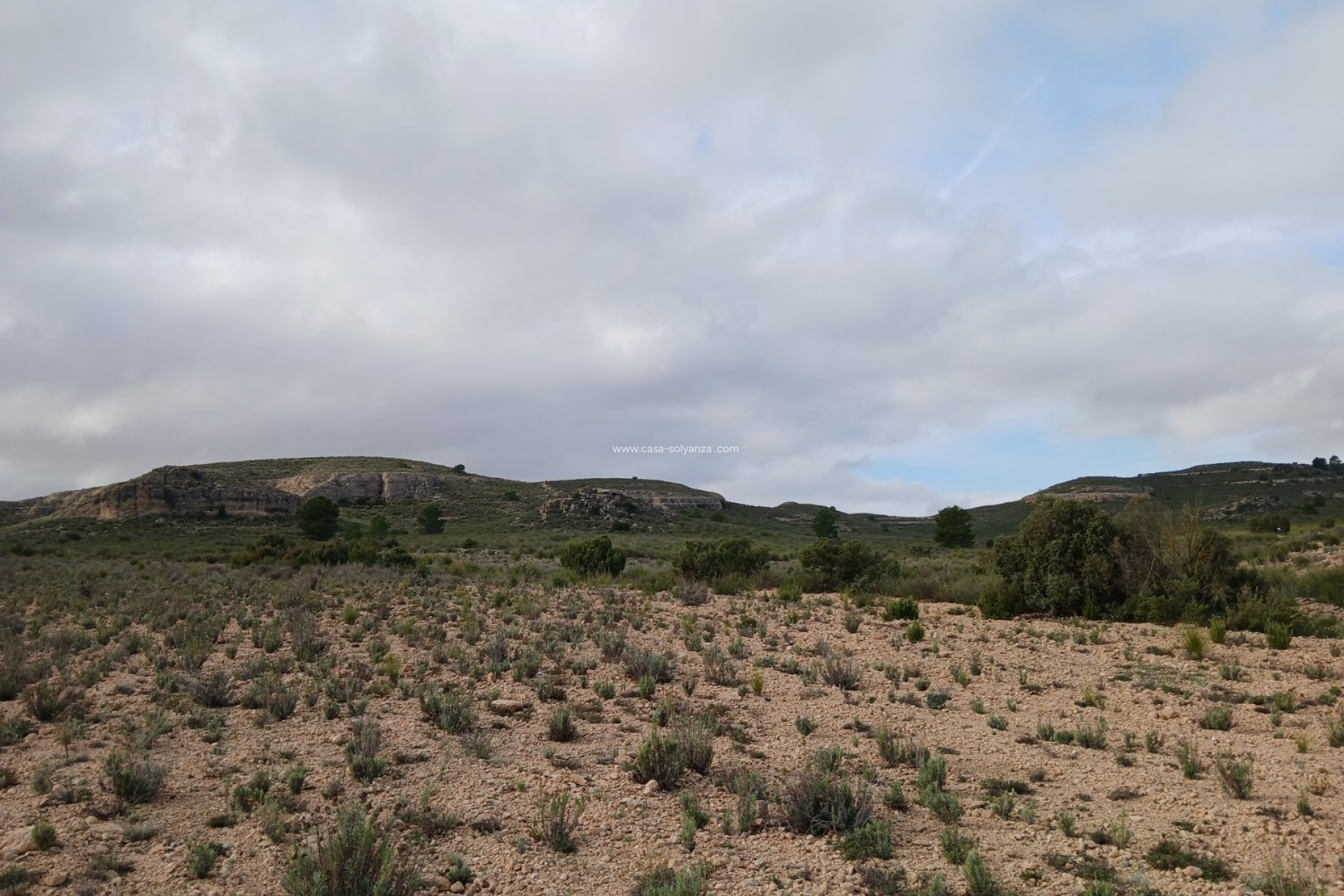 Herverkoop - Land - Yecla - Inland