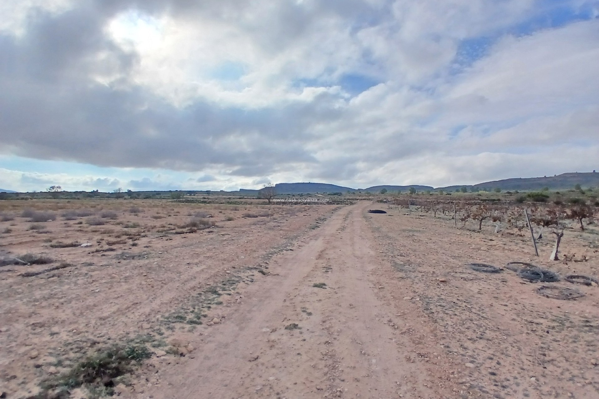 Herverkoop - Land - Yecla - Inland