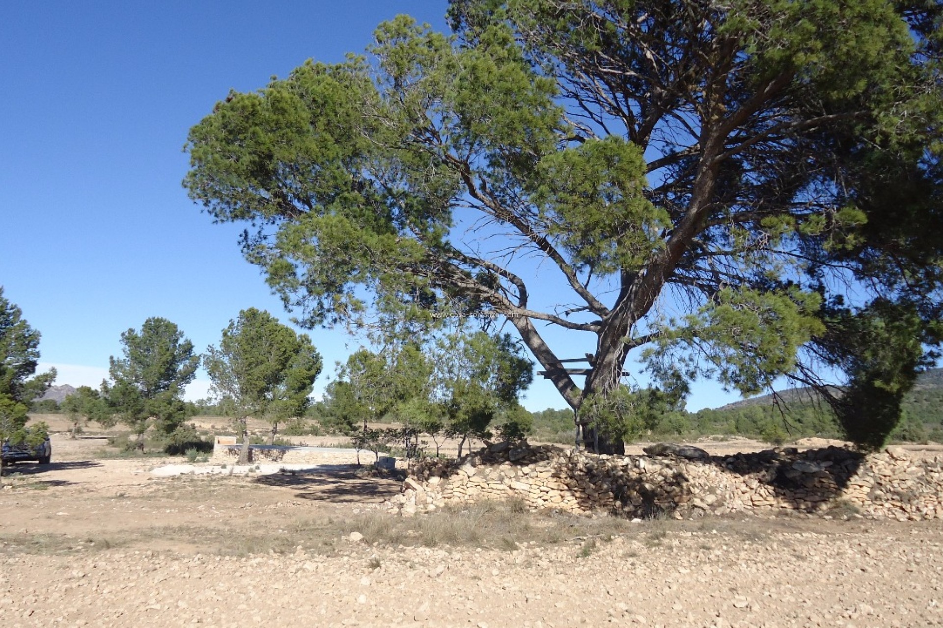 Herverkoop - Land - Yecla - Inland