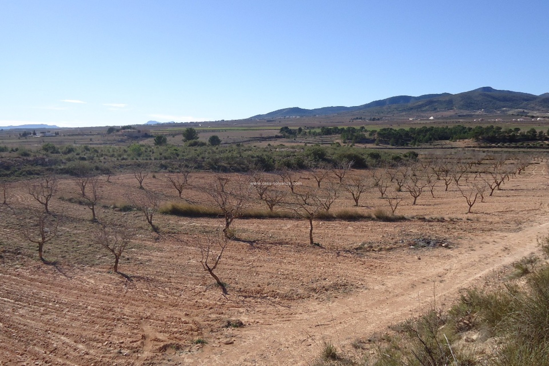 Herverkoop - Land - Yecla - Inland