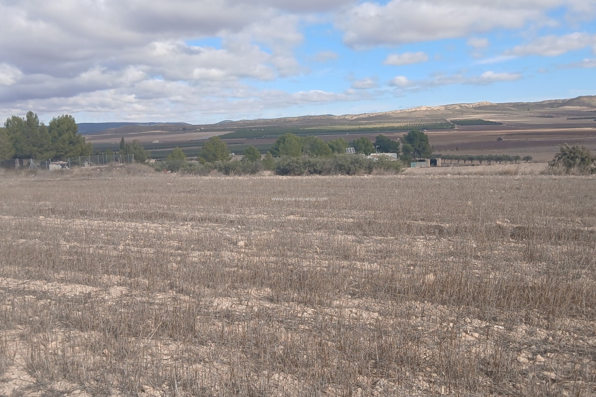 Herverkoop - Land - Yecla - Inland