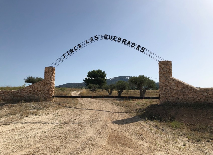 Herverkoop - Land - Yecla - Inland