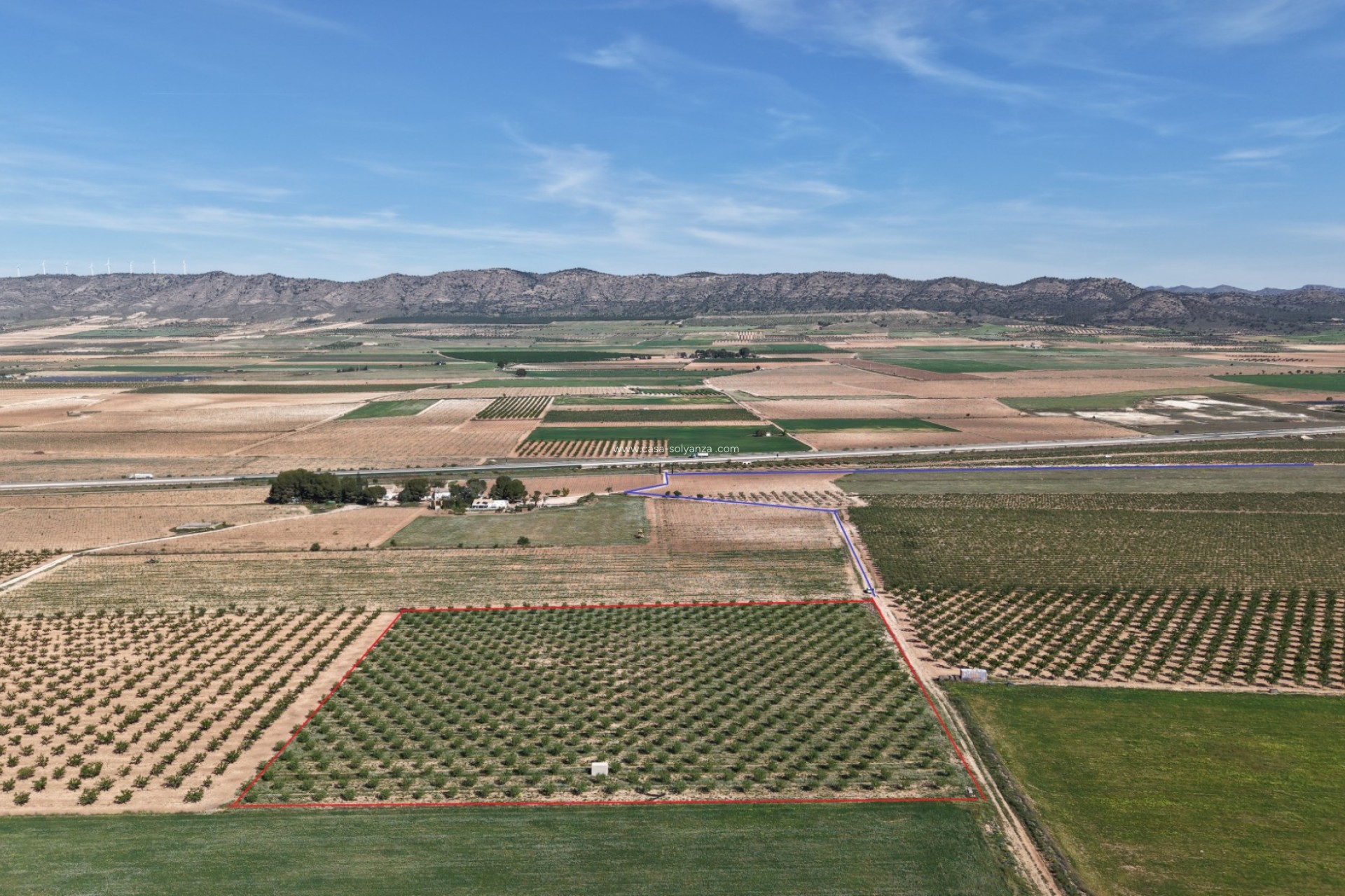 Herverkoop - Land - Yecla - Yecla Murcia