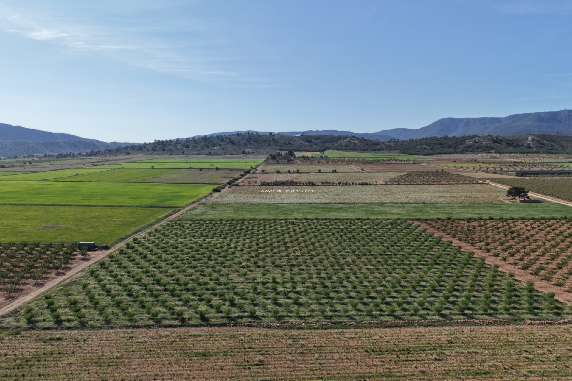 Herverkoop - Land - Yecla - Yecla Murcia