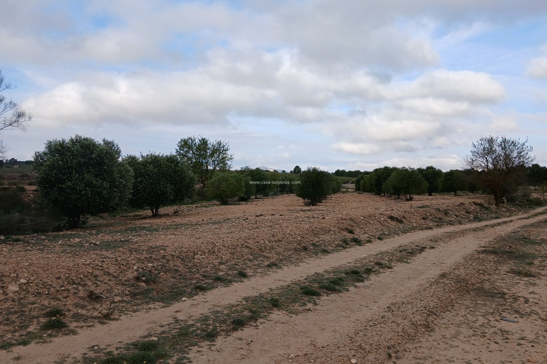 Herverkoop - Land - Yecla