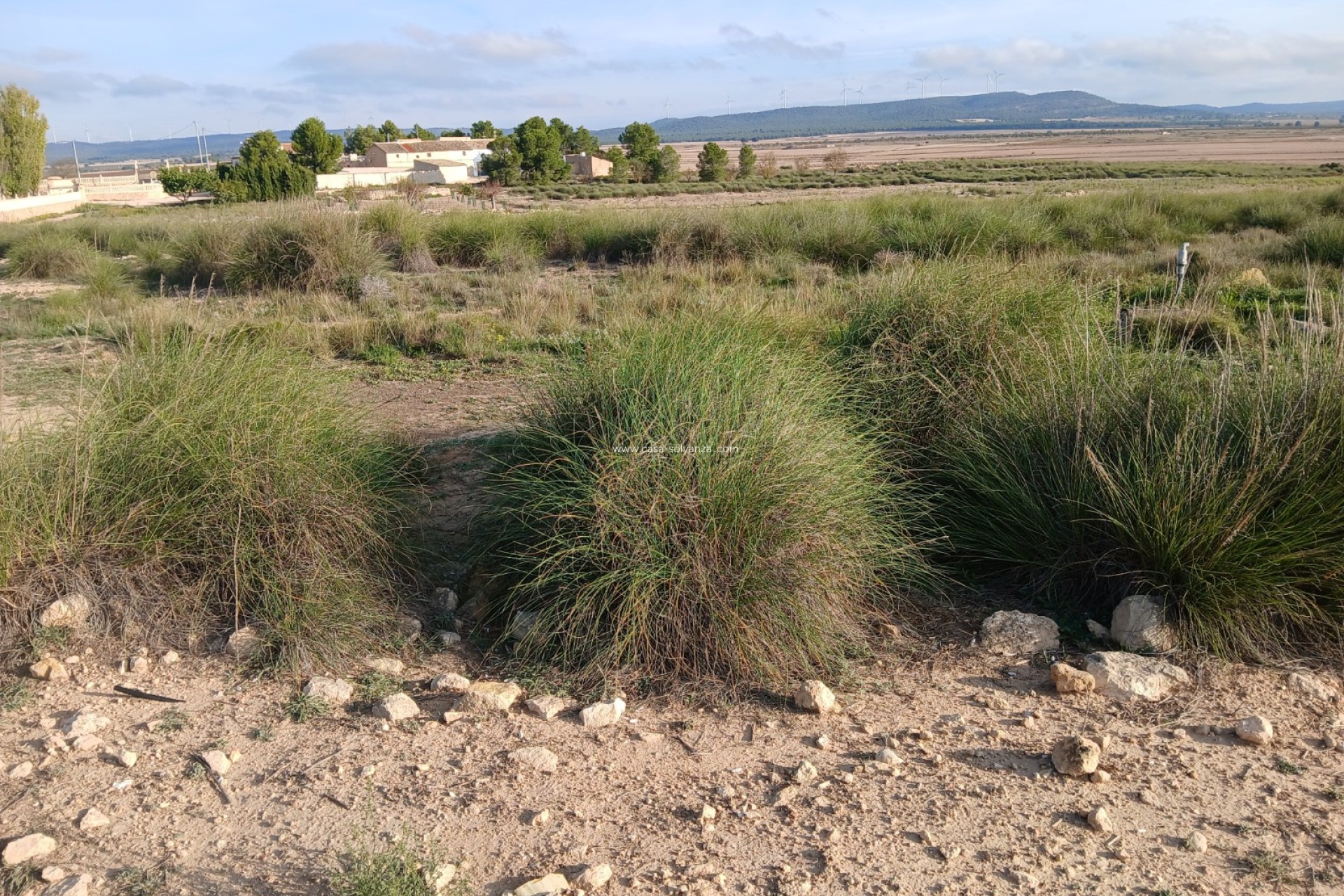 Herverkoop - Land - Yecla