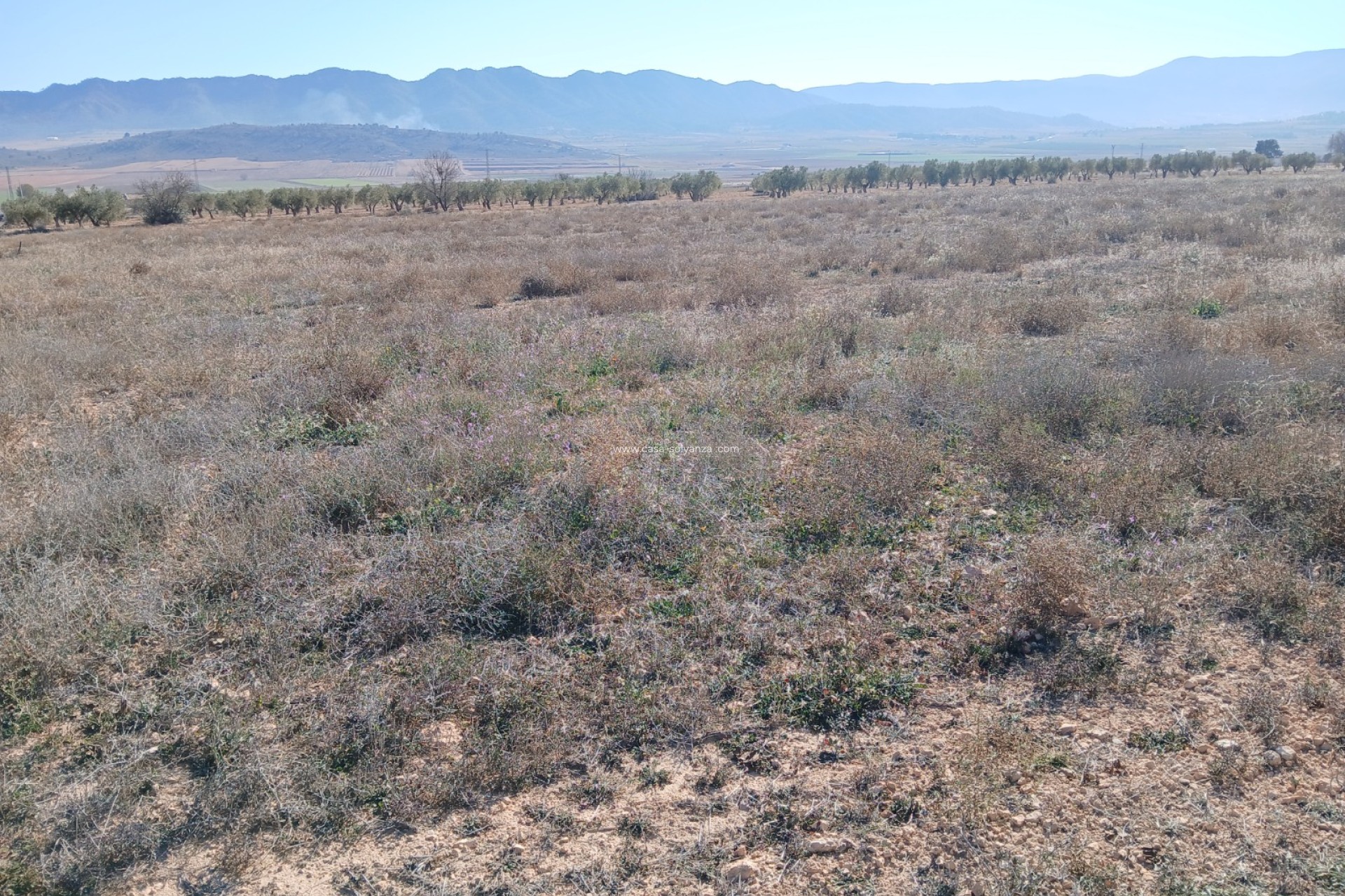 Herverkoop - Land - Yecla