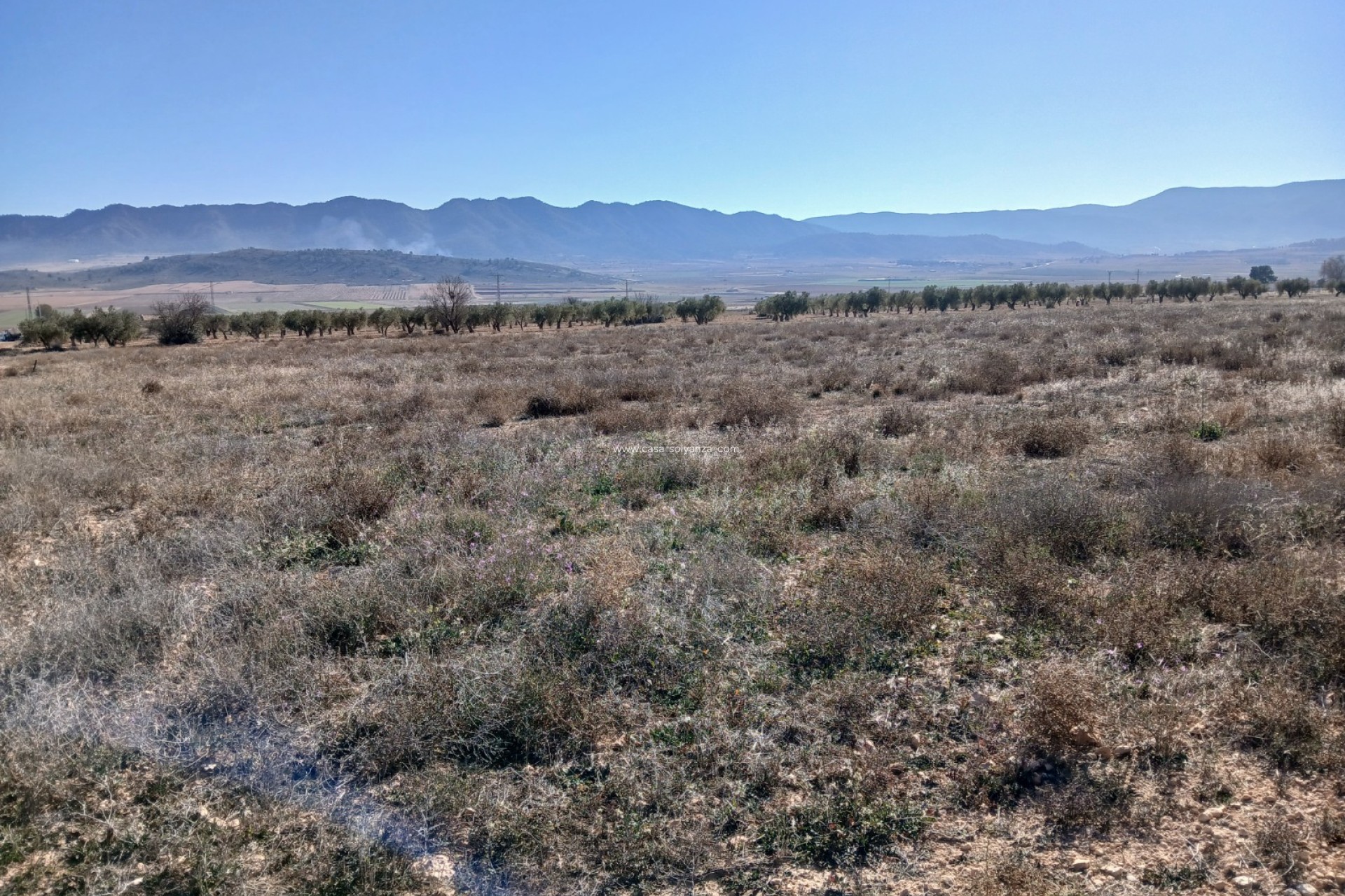 Herverkoop - Land - Yecla