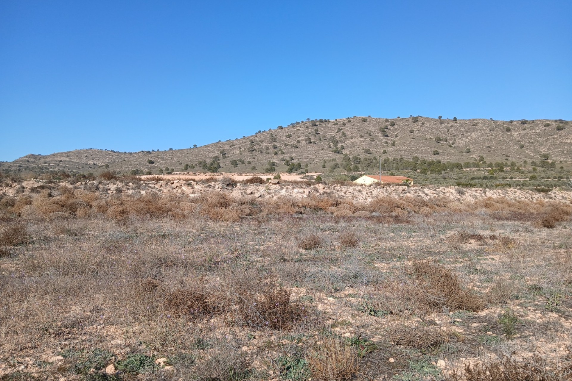 Herverkoop - Land - Yecla