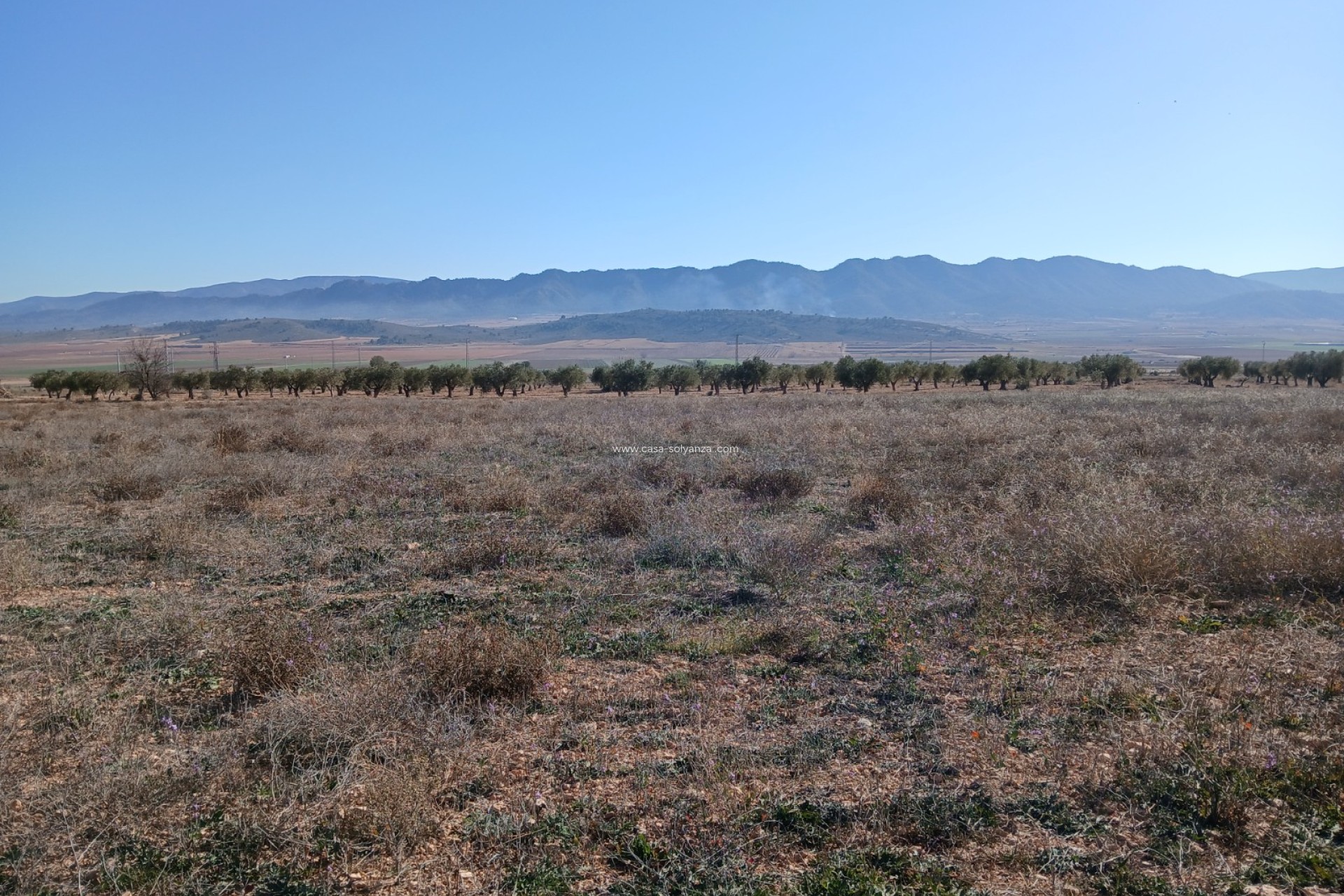 Herverkoop - Land - Yecla