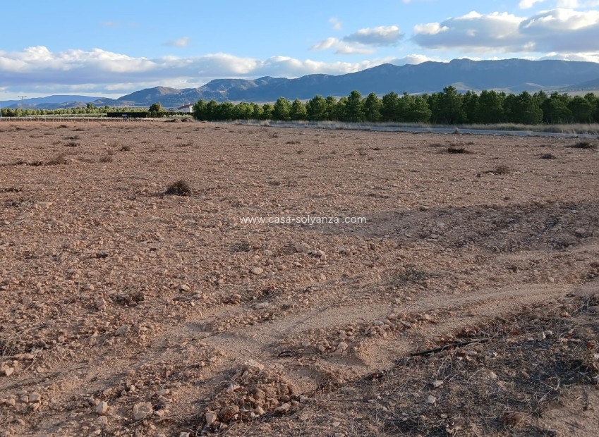 Herverkoop - Land - Yecla
