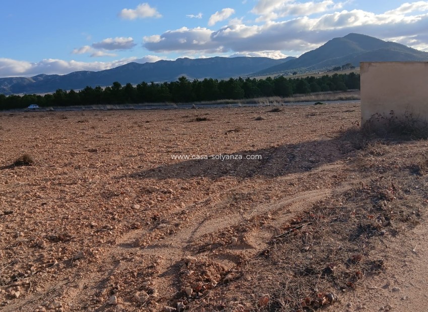 Herverkoop - Land - Yecla