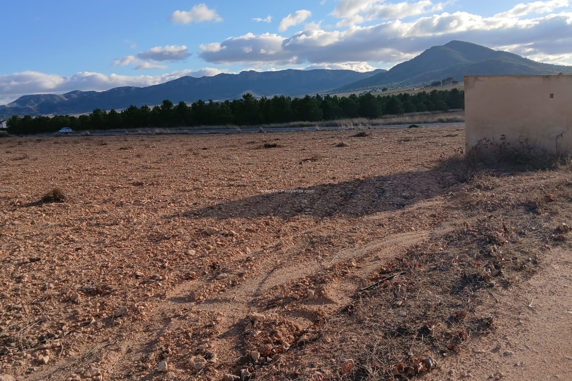 Herverkoop - Land - Yecla