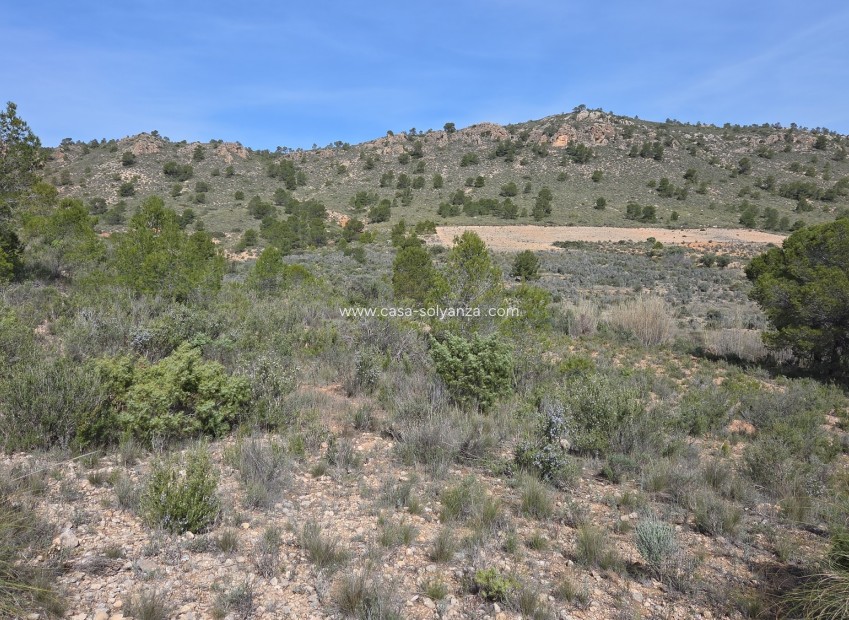 Herverkoop - Land - Yecla