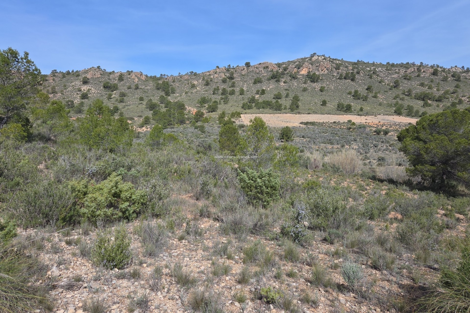 Herverkoop - Land - Yecla