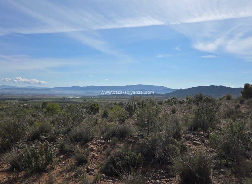 Herverkoop - Land - Yecla