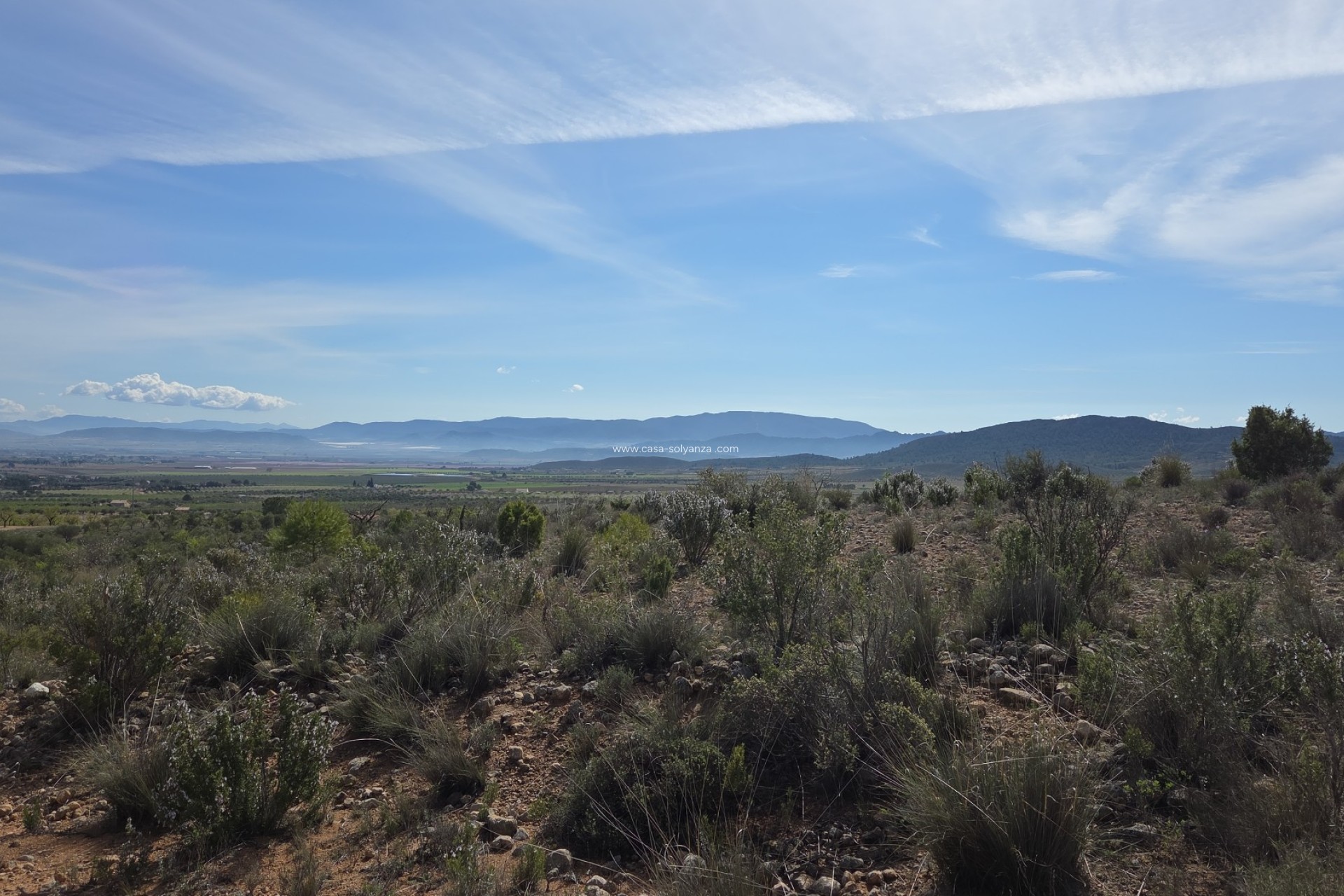 Herverkoop - Land - Yecla