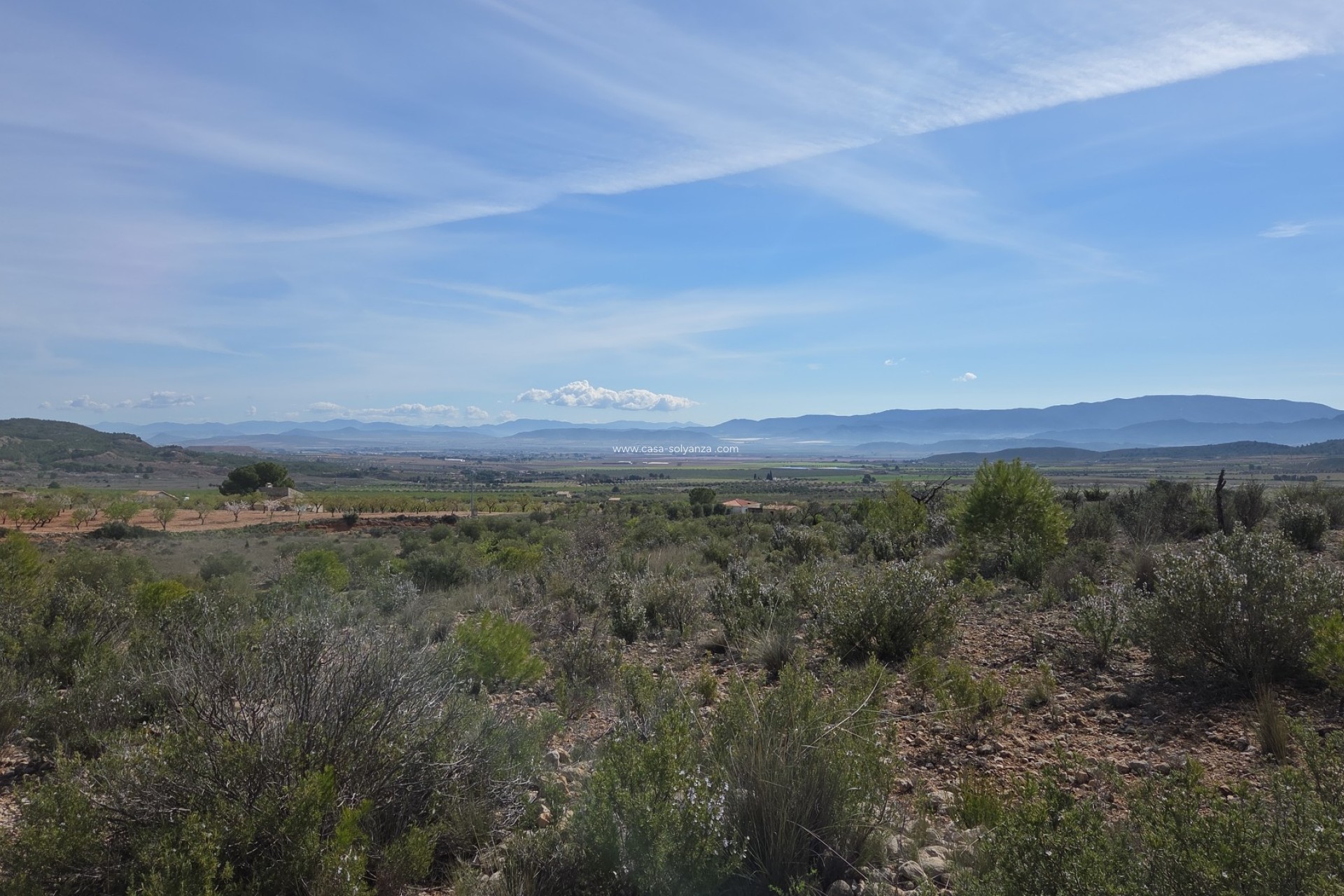 Herverkoop - Land - Yecla