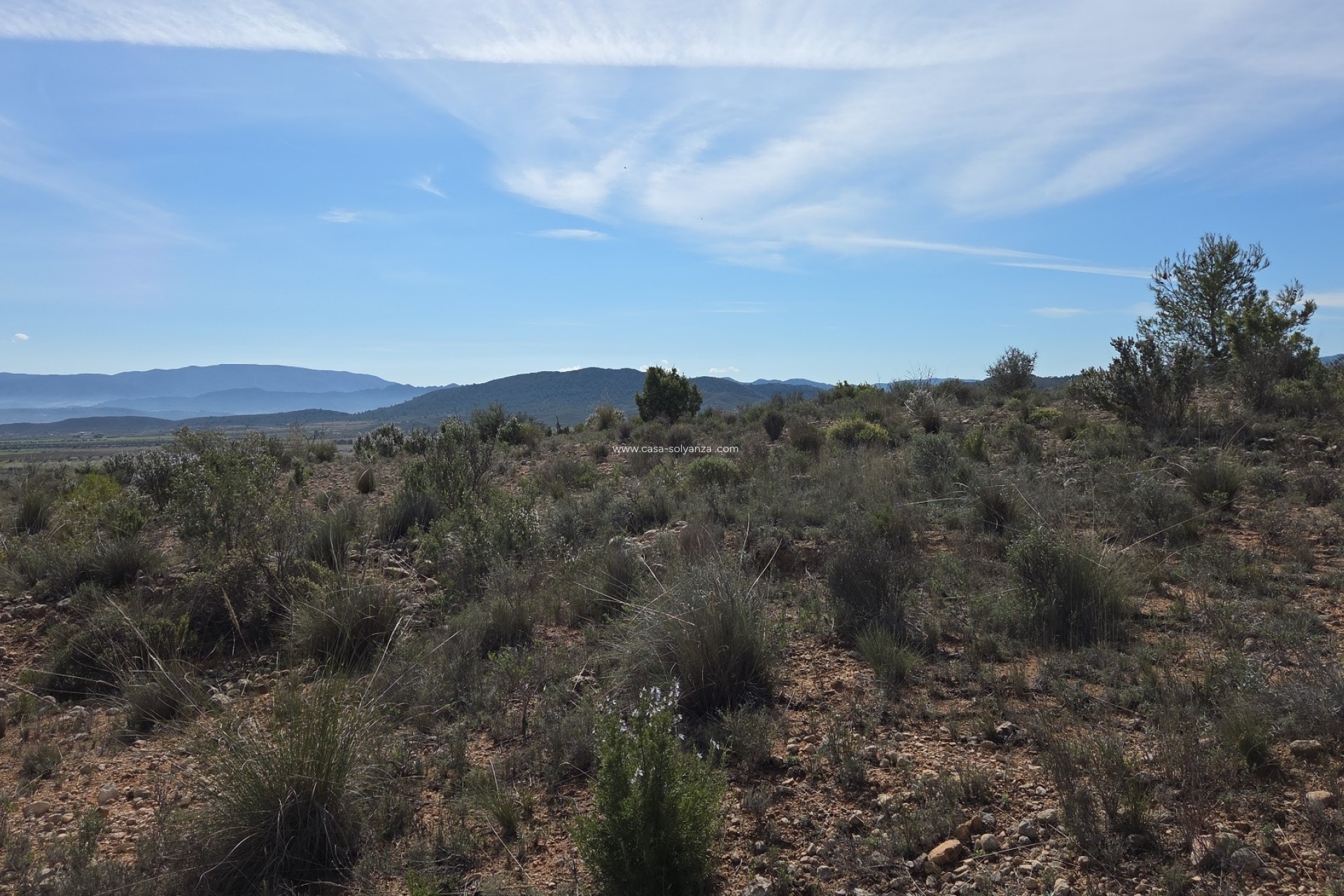 Herverkoop - Land - Yecla