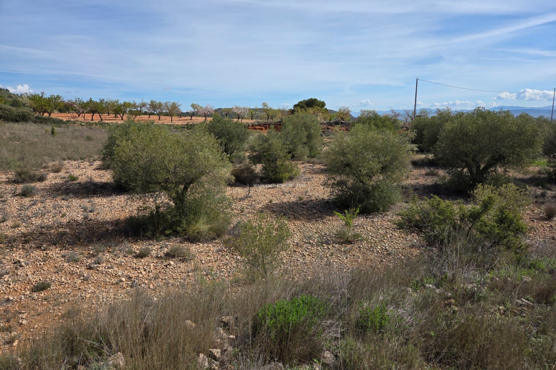 Herverkoop - Land - Yecla