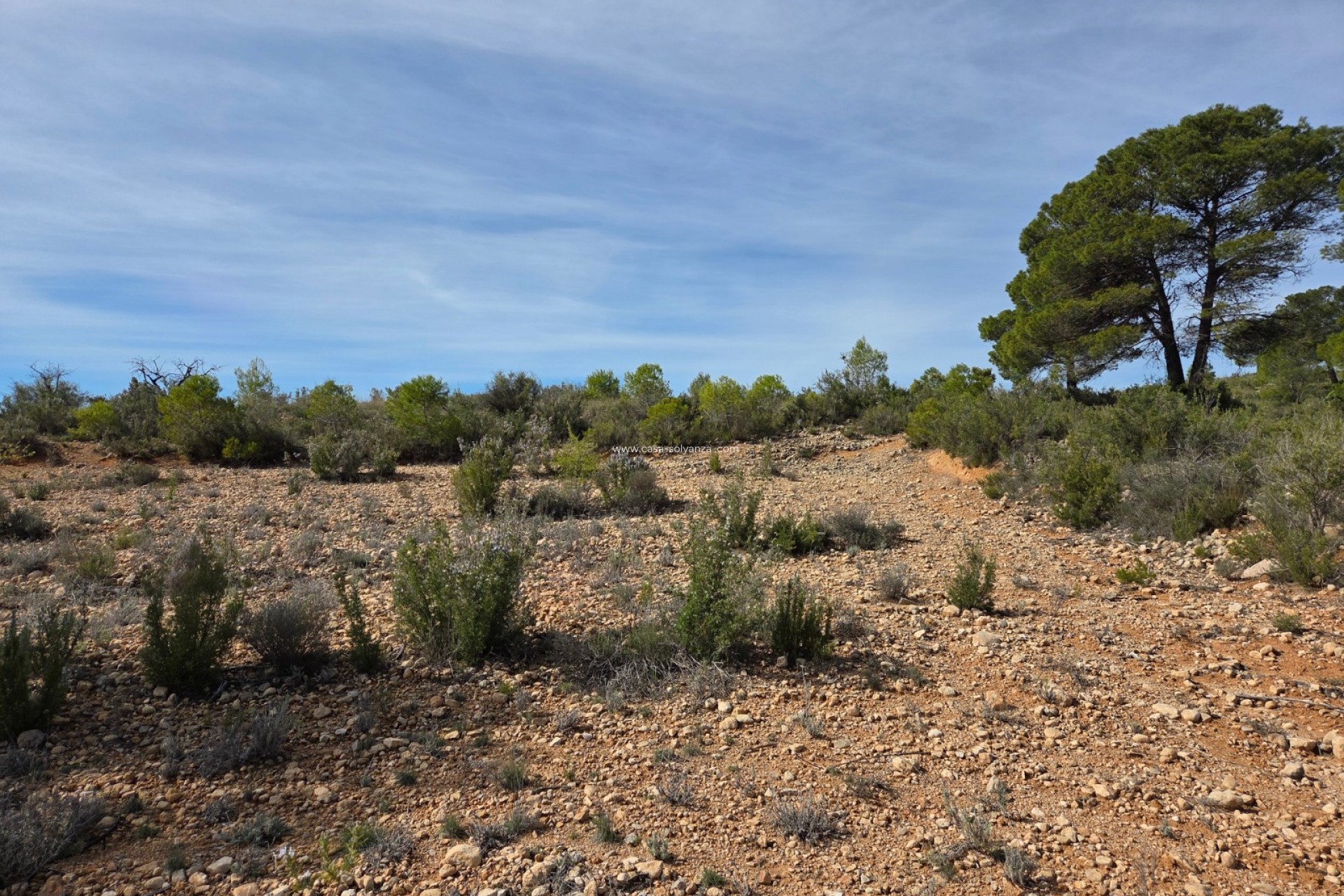 Herverkoop - Land - Yecla