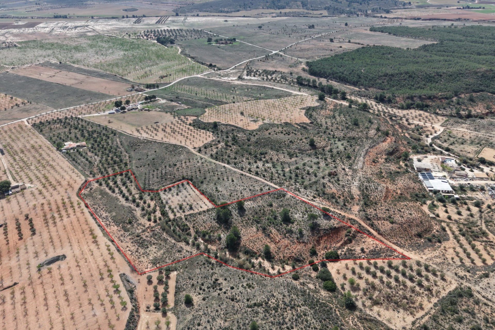 Herverkoop - Land - Yecla